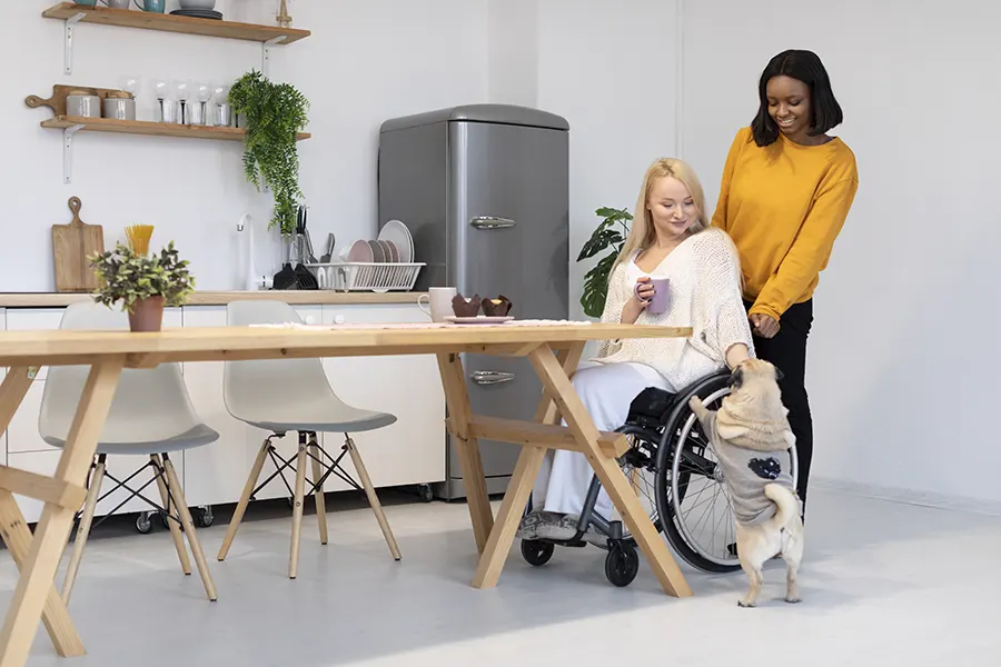 daily tasks shared living