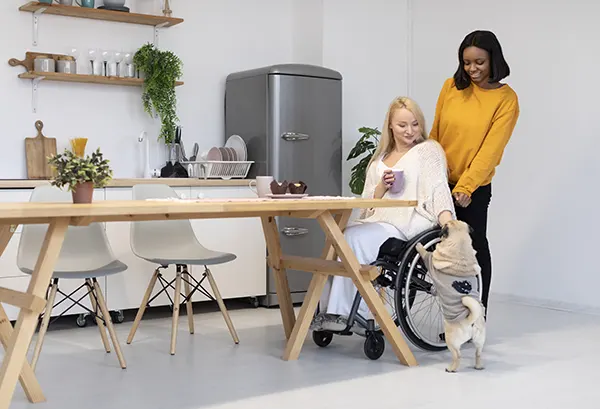 daily tasks shared living